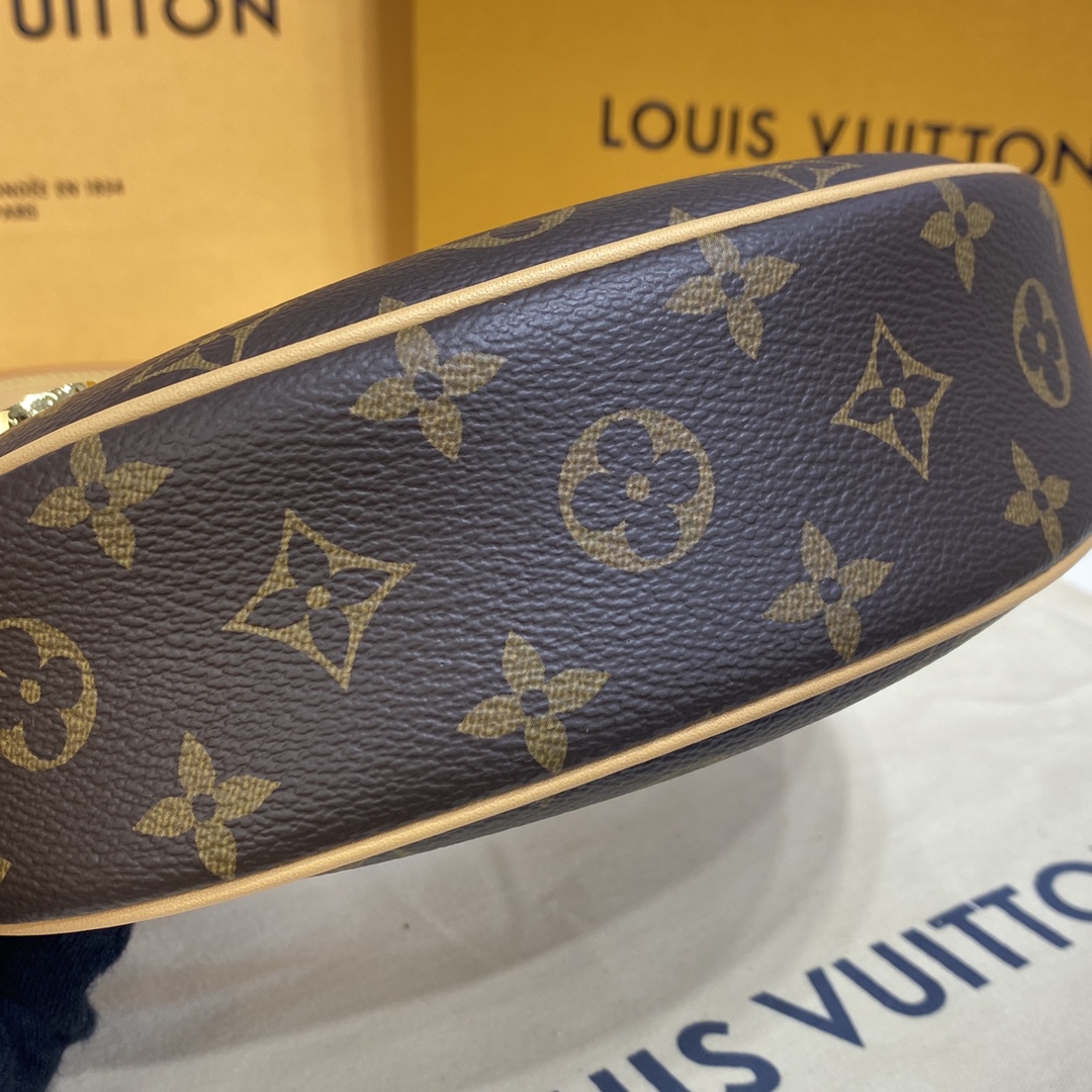 Louis Vuitton LOOP Handbag Monogram M81098 